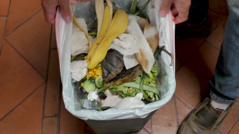 Trusted North Kingsville, OH Junk Removal Services Experts